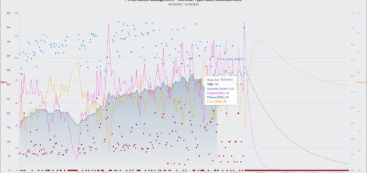 Performance Management Chart - CTL / ATL / TSB / TSS / IF, toutes les explications !