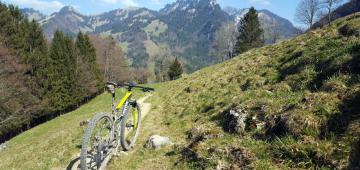 Programme d'entrainement cycliste en juillet